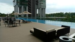 Skyline Residences (D4), Condominium #571844971